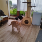 Thumbnail of post image 031