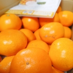 Thumbnail of post image 009