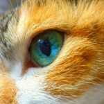 Thumbnail of post image 145