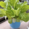 Thumbnail of related posts 097