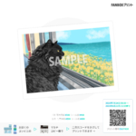 Thumbnail of post image 115